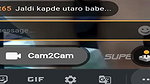 Sonale stripchat ticket show