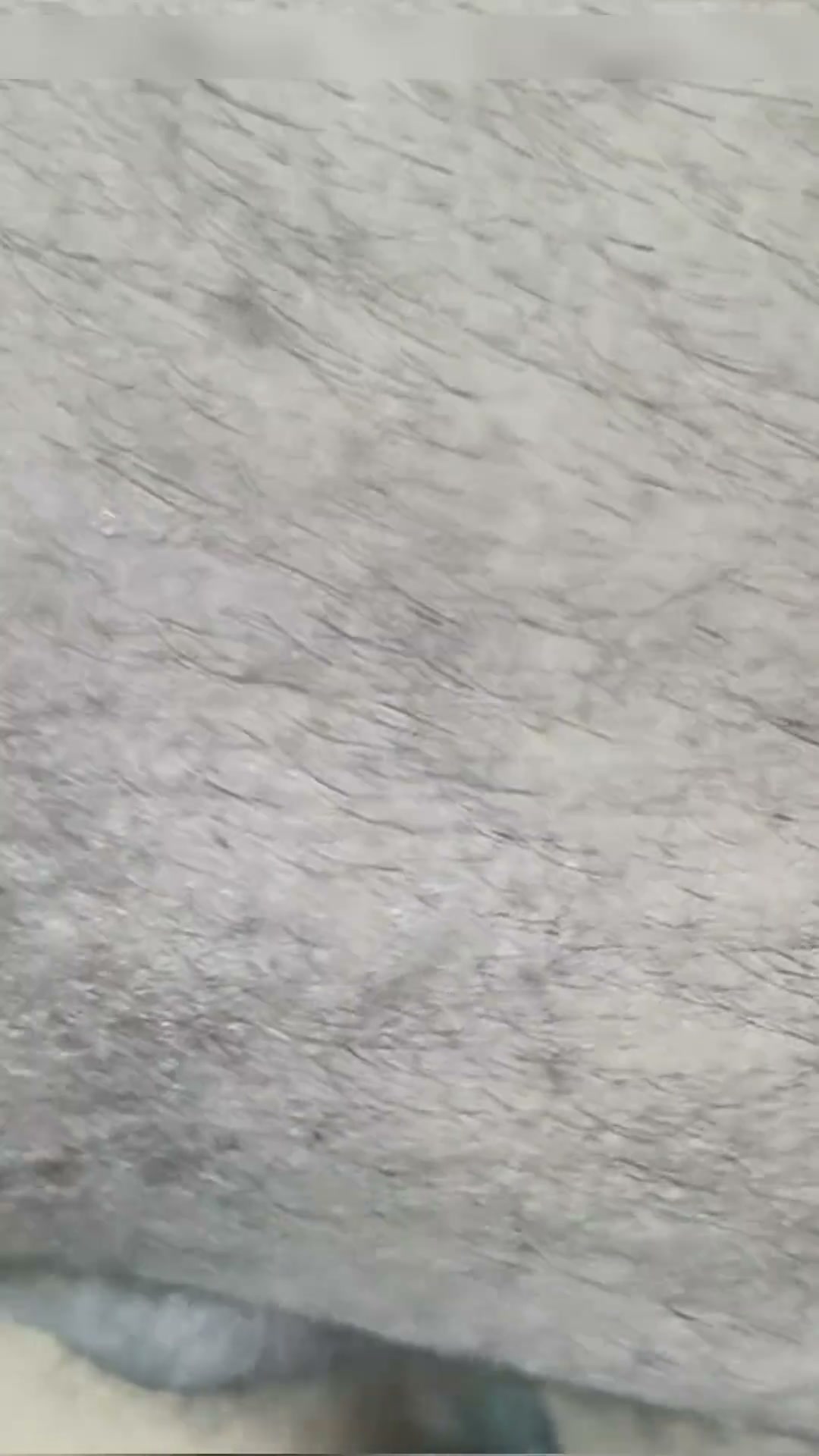Frame 6