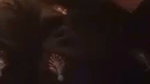 A Guy Affair With Many Beautiful Girl Showing Hot Boobs Press Pussy Rubbing 2 5