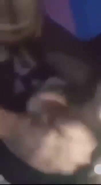 Busty Nepali Tiktoker Sexy Baddie Gf Giving Sensual Blowjob & Getting Fucked 2 8