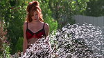 Tyler hot car wash scenes – One Night at McCool’s 2001