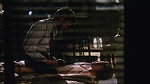 Tunney nude sex scenes – Investigating Sex 2001