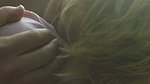 Wilson nude scenes – True Things 2021