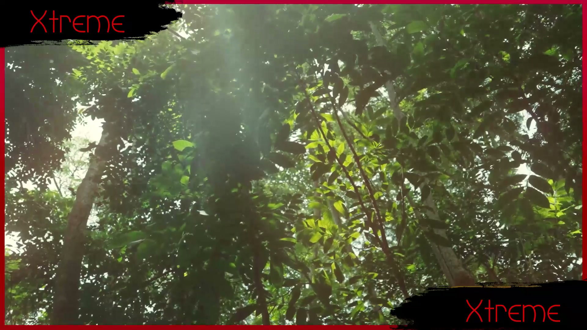 Frame 2