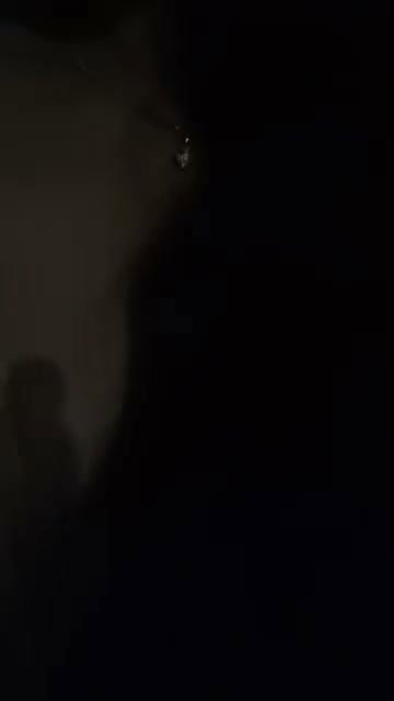 milf mallu tango live show her all big things 2
