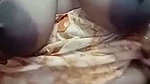 cute village wife chamet – (3)