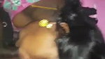 Tamil aunty fucking mms