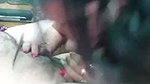 stripchat model video collection –  34