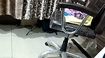 stripchat model video collection –  54