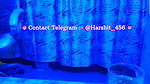 Niya stripchat ticket show