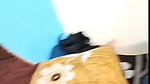 Couple 8Min stripchat ticket show