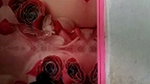 Cute Cheater Girl Showing Fingering On VC With Many Boys part 3 (3)