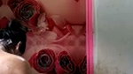 Cute Cheater Girl Showing Fingering On VC With Many Boys part 3 (3)