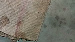 Indian bhabhi sex