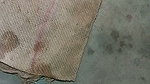 Indian bhabhi sex