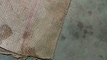 Indian bhabhi sex