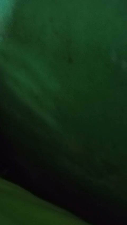 Frame 10