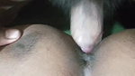Fucking Big ass