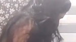 TAMIL MAAL GF STRIPPING FINGERING SUCKING & BRUTAL FUCKED BY BF~ UPDATES 22CLIPS 21