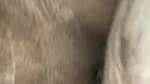 Horny brunette fucked hard in her perfect tight ass and pussy