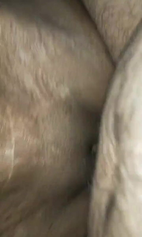 Horny brunette fucked hard in her perfect tight ass and pussy