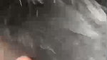 hard ride on dick sucking melons 2