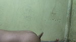 Sex with step sister