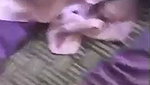 Brother Seduce Sister Hot Boobs Daring Hairy Pussy Licking Cum On Face updates 16