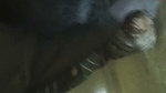 Brother Seduce Sister Hot Boobs Daring Hairy Pussy Licking Cum On Face updates 17