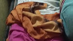 Brother Seduce Sister Hot Boobs Daring Hairy Pussy Licking Cum On Face updates 20
