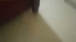 Brother Seduce Sister Hot Boobs Daring Hairy Pussy Licking Cum On Face updates 25