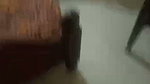 Brother Seduce Sister Hot Boobs Daring Hairy Pussy Licking Cum On Face updates 25