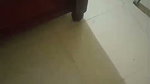Brother Seduce Sister Hot Boobs Daring Hairy Pussy Licking Cum On Face updates 25