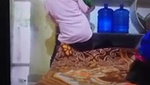 Brother Seduce Sister Hot Boobs Daring Hairy Pussy Licking Cum On Face updates 26