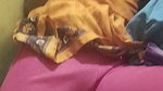 Brother Seduce Sister Hot Boobs Daring Hairy Pussy Licking Cum On Face updates 27