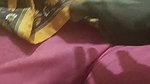 Brother Seduce Sister Hot Boobs Daring Hairy Pussy Licking Cum On Face updates 27