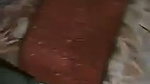 Brother Seduce Sister Hot Boobs Daring Hairy Pussy Licking Cum On Face updates 7