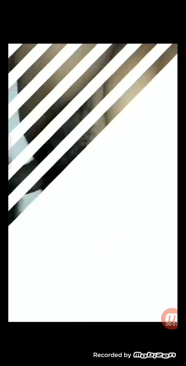 Frame 1