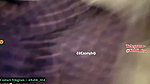 Pvt ThreeSome 20Min DirtyTalk HardCore