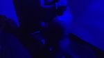 Behan Ko Ghodi Banakar Kar Choda Gandi Gali Sex Video