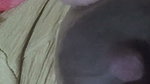 Bhabhi ji ke milky bubu rasili bubu Milky boobs