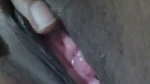 Bhabhi ji ki chikni chut Hot maal hai bhabhi
