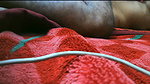 Busty Banuu’s Ass Fucked and Enjoyed It with Cock, She Enjoyed Ass and Pussy Fucking