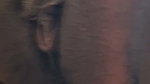 Dirty Stepaunty Sex with Boyfriend