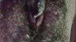 VID-2014528-WA04432