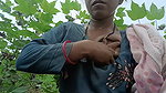 indian bhabhi Desi girl videos clips for