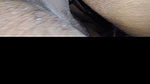 Indian Bhabhi Sex
