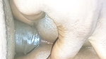 Indian Desi Bhabi Blowjob and Ass fucking 2026