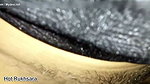 Indian Wife Fucking with Stepbrother in Front of Cheating Husband! Hot XXX