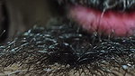 My hairy pussy liking my neiber men